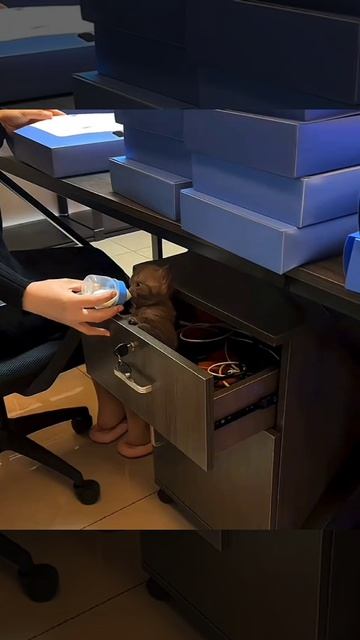 Новый сотрудник