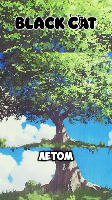 Она помнила аниме драма фэнтези япония романтика Blackcat Blackcatdub  АгентыЧетырёхСезонов