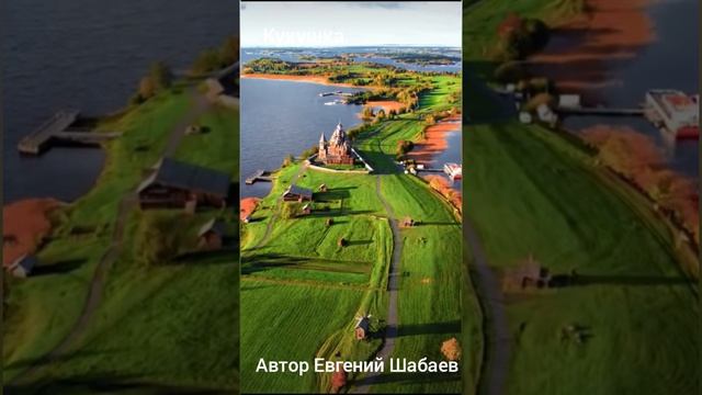 Кукушка. Автор Евгений Шабаев