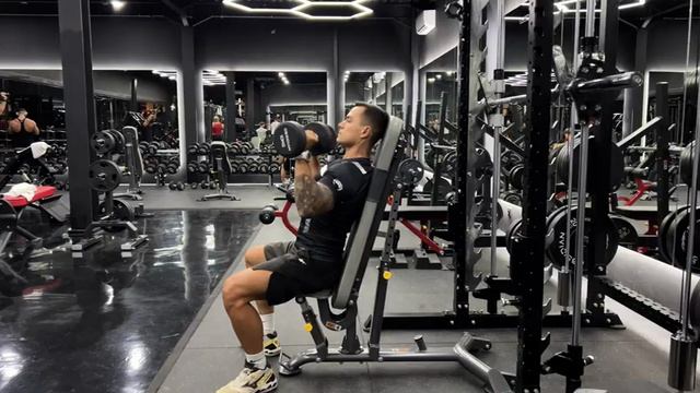 Жим_гантелей_вверх_сидя