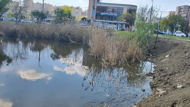 A114956d254f929dd4a1f2afd3066921