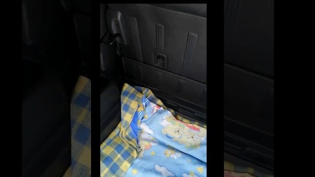 Обзор Honda Freed Spike  от нашего клиента и отзыв о работе 