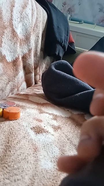 моя первая робота