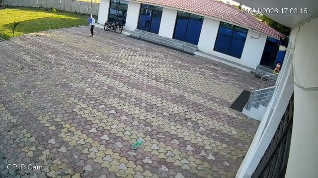 Индиец хотел прогнать макаку с помощью длинного прута в итоге поджарился.