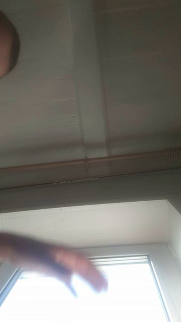 прыткая ящерица