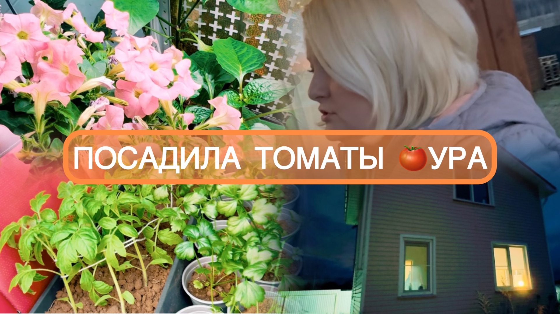 🟣ОТКРЫВАЕМ ПОСАДОЧНЫЙ СЕЗОН 🍅ТОМАТЫ ВЫСАДИЛА/ГОЛУБИКА/КАРТОШКА УНИКА