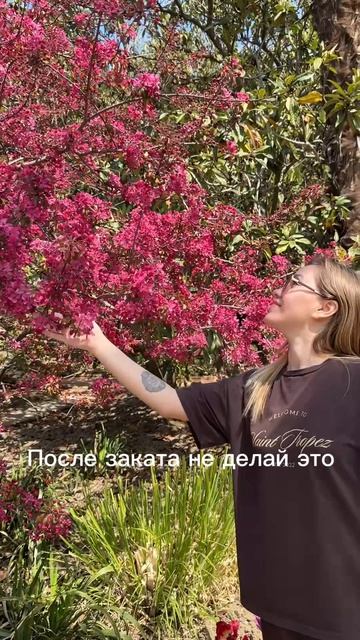 Не делай это после заката