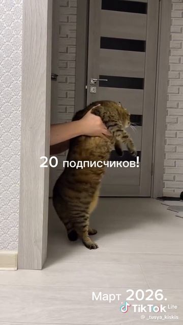 Спасибо вам за 21 подписчика! 😘😘🥳🥳🥳🥳