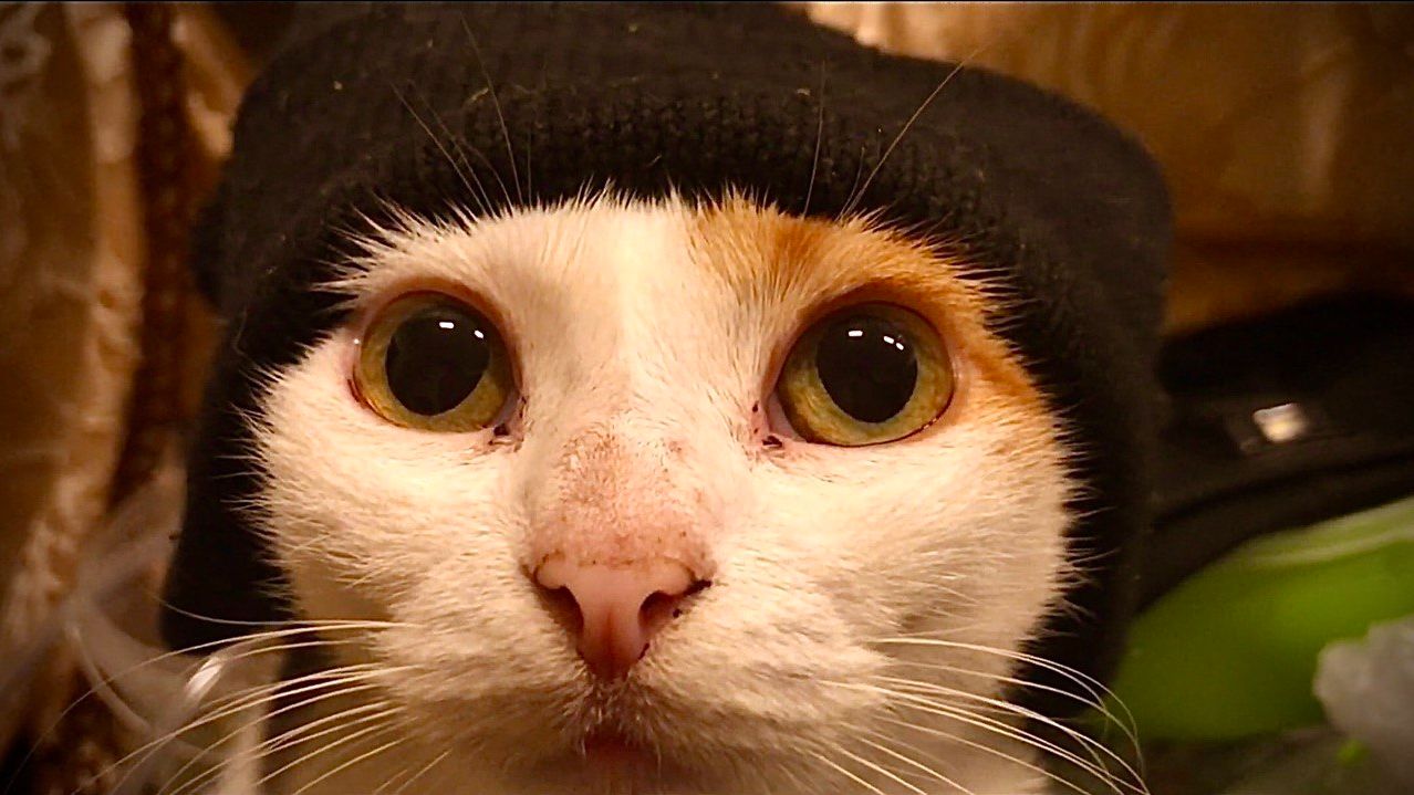 [Natalex] Мощная 5 вольтная солнечная панель. Пасмурная погода. Тест №10...