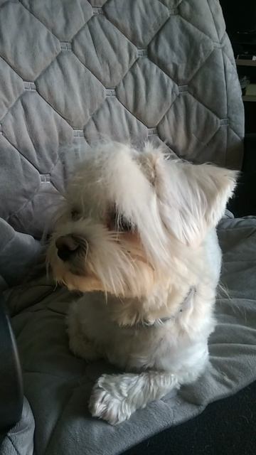 про идеальную фигуру