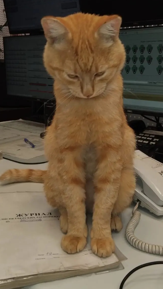 Мог бы и перепрыгнуть