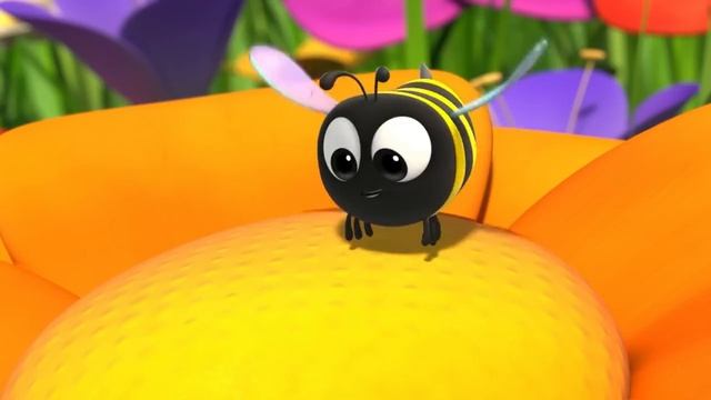 Пчёлы и мёд: как получается мёд  Видео для детей