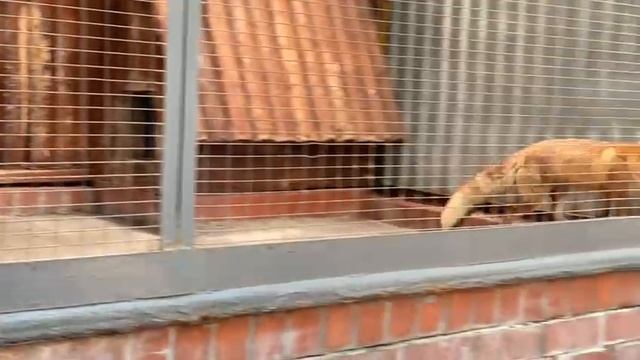 73ae1cb7-c9a4-4773-8b4d-97348941d330