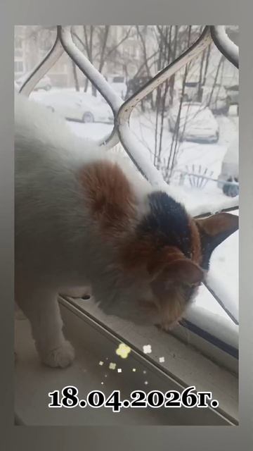 РОССИЯ. СИБИРЬ. АНГАРСК. 18.04.2026г. и ВЕСЕННИЙ АПРЕЛЬ! 