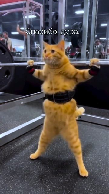 Как я скинула немного жера