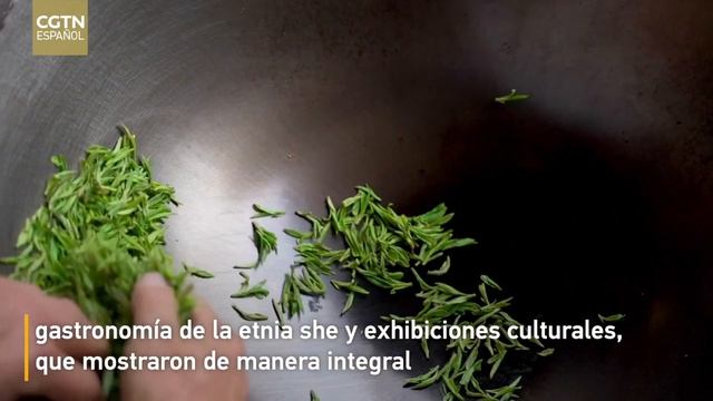 Вкус тишины: как рождается чаиная церемония