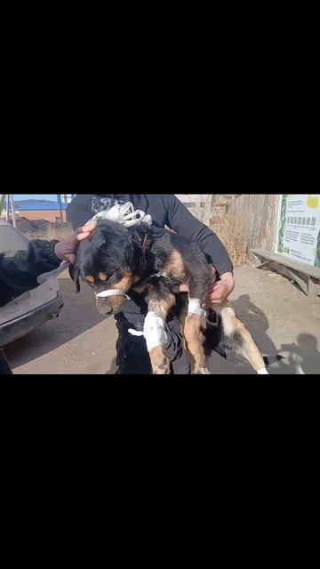 БИЛЛИ В КЛИНИКЕ ЧАСТЬ 2