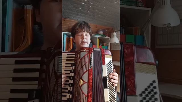 НЮАНСЫ ВЫБОРА АККОРДЕОНА: НА ЧТО ОБРАТИТЬ ВНИМАНИЕ