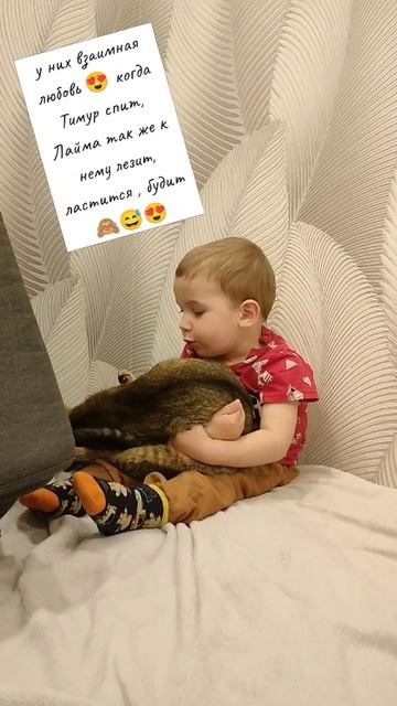 любовь кошки и ребенка