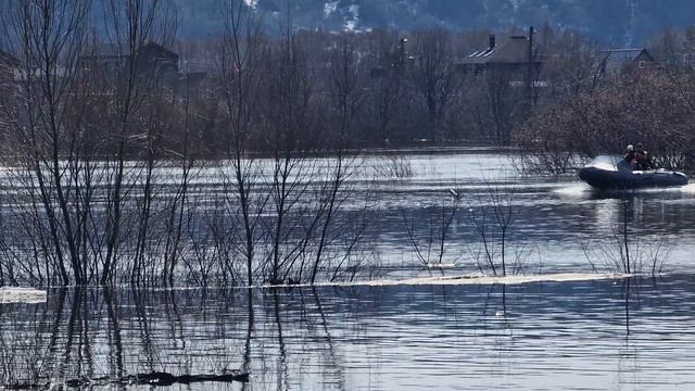 кокшайск весна