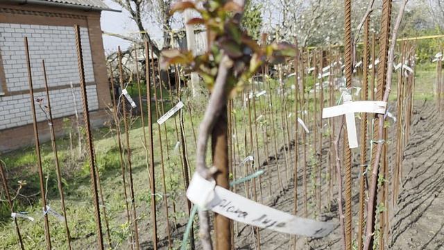 Готовые к вам!