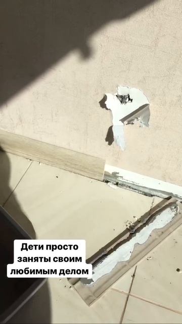 Как сурикаты портят ремонт