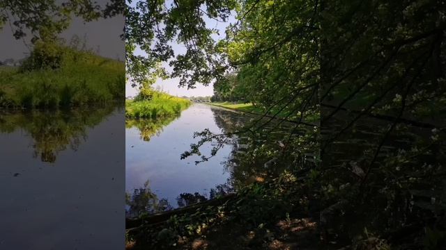 Михаил Лермонтов - надежда Cover на стихи