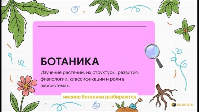 Биолог: разбор профессии