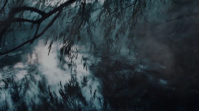 Слёзы старых ив.