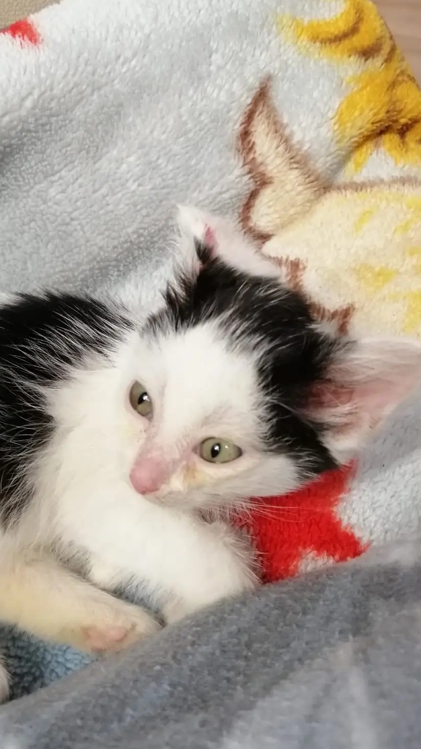 Малявочке 1 месяц