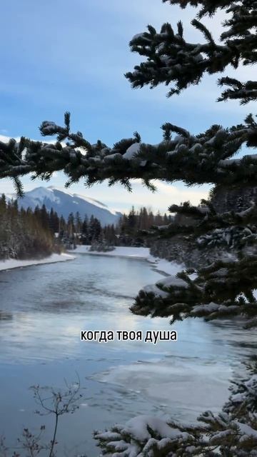 Мудрость дня