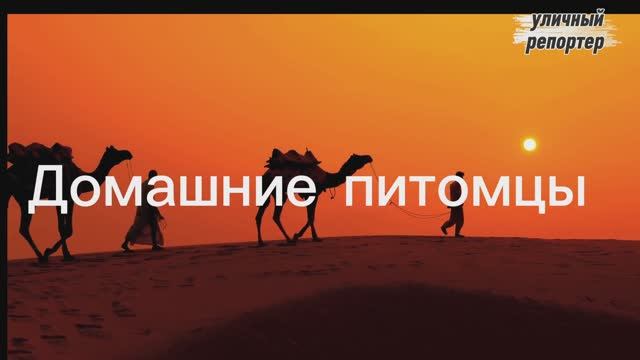 Немножко юмора в ленту