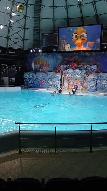 Новосибирский Дельфинарий