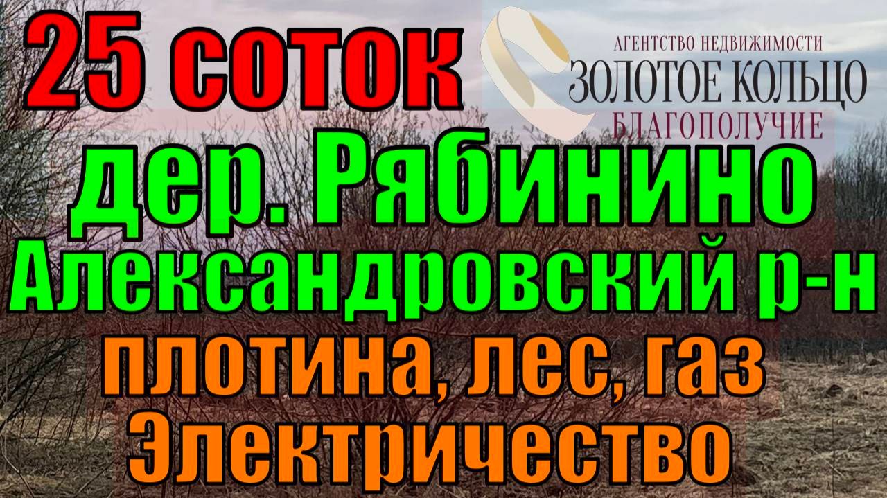 Продается земельный участок 25 соток в д. Рябинино. Рядом лес плотина. Свет и газ по границе