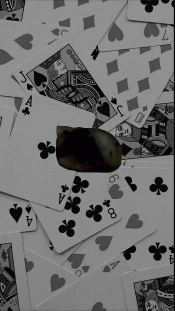 👾
#SOMA
#kroommrook
#VL