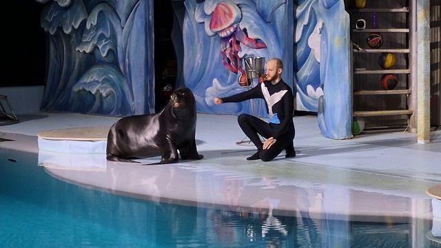 Новосибирский дельфинарий