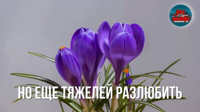 И БОЛЬШЕ НЕ ОБНЯТЬ