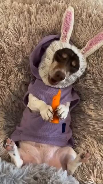 Планы на выходные