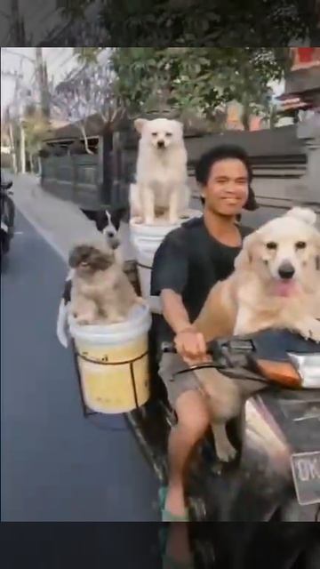 Никто не обделëн 