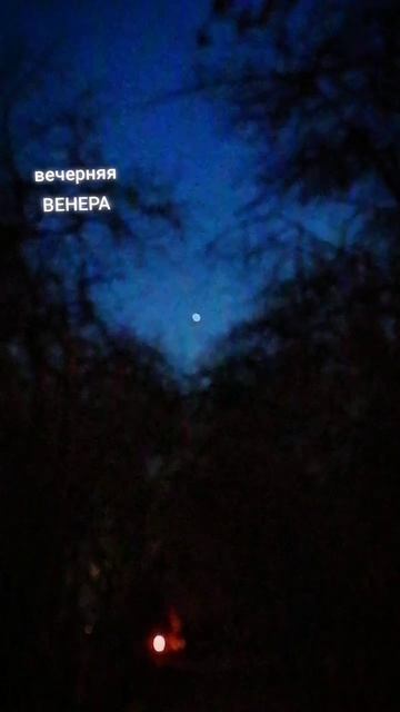 Вечерняя ВЕНЕРА