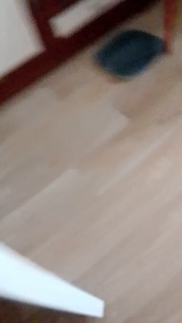 обзор на двери и новую люстру