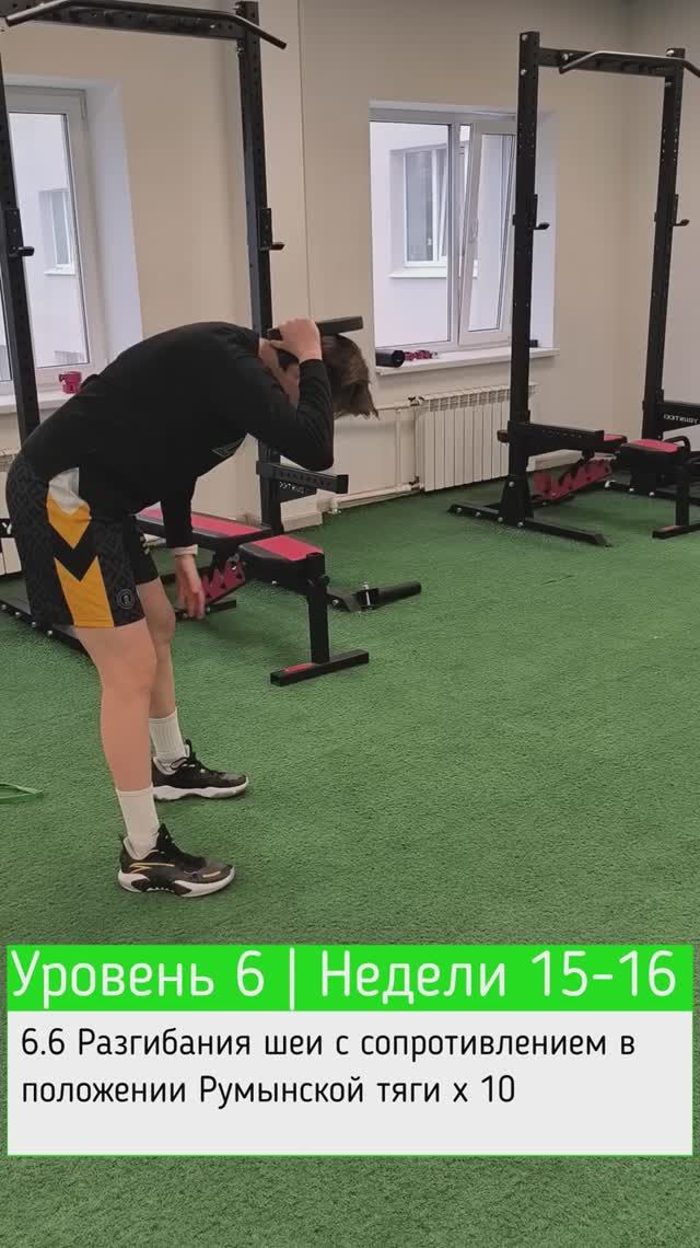 6.6 Разгибания шеи с сопротивлением в положении Румынской тяги