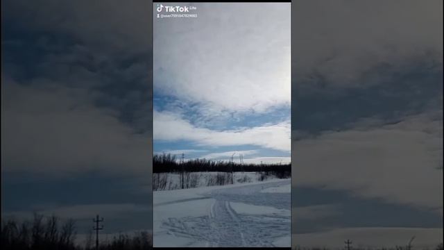 12660.mp4 Елена Дружиненко Воркута