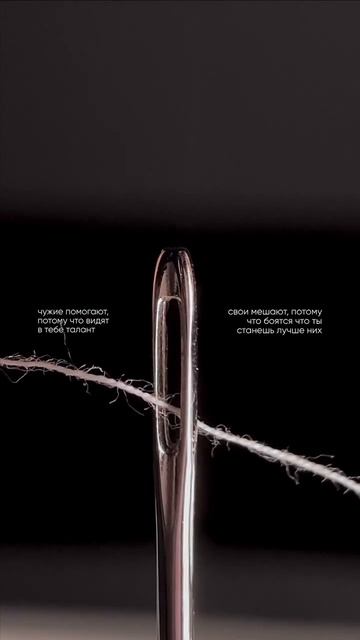 Мудрость дня