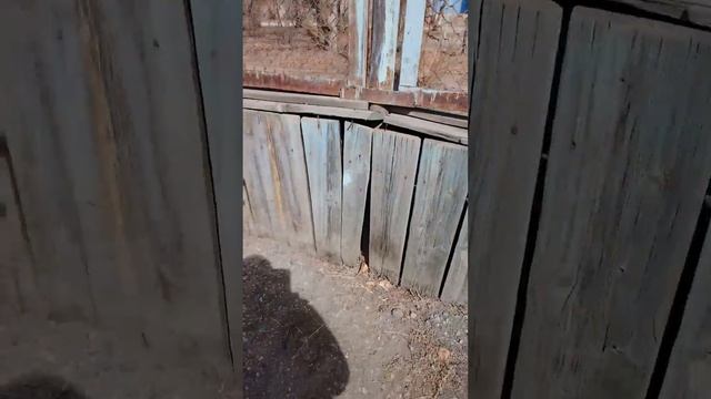 мы гуляем Тата 1 маньаж