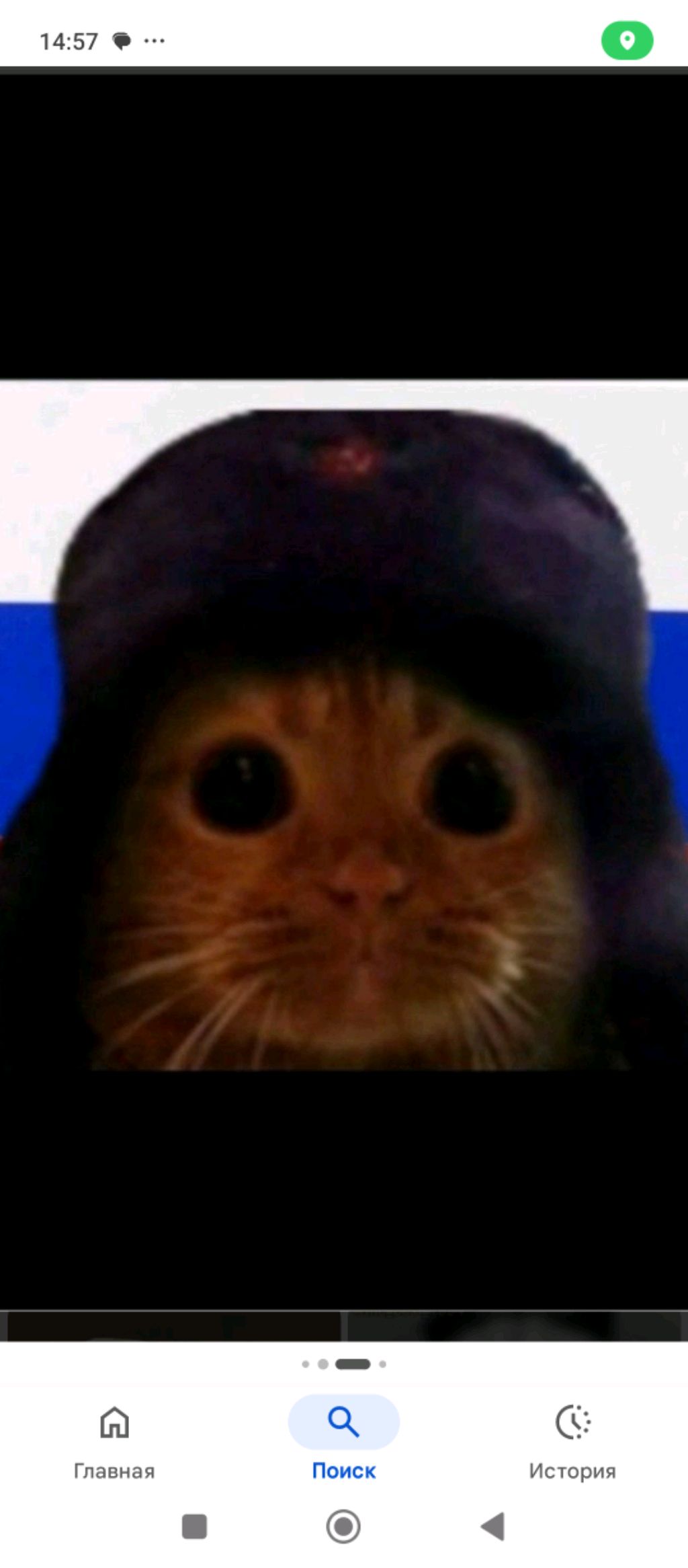 занимаемся фигнёй