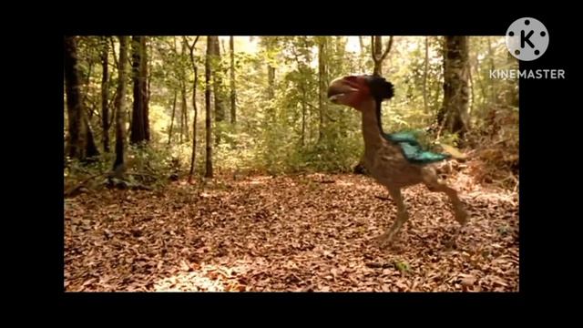 Killer Mammals Birds