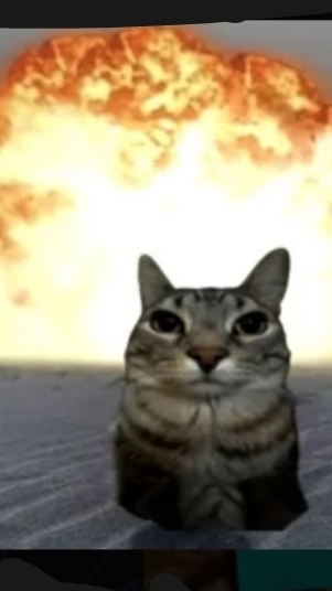 Я это сделал!!