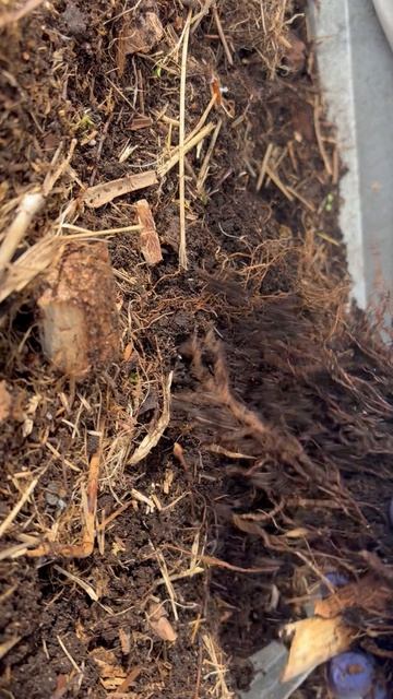 72dde0ac6a21e5314829f0e4815537cf