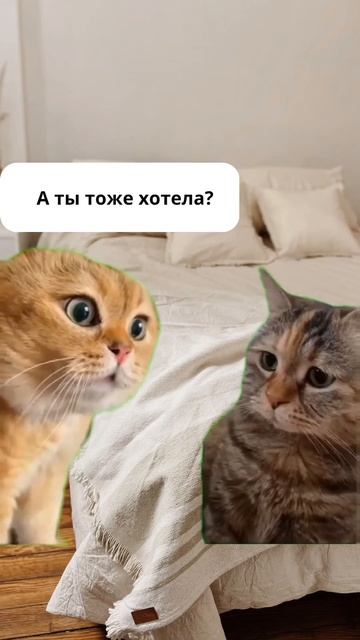 Утро доброе!